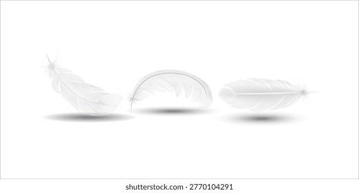 Realistic white fluffy falling twirled feather set with various shapes for angel bird clipart soft fantasy decoration and creative design templates