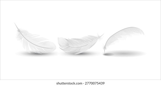 Realistic white fluffy twirled falling feather set closeup isolated on white background for angelic purity themed designs soft decoration and creative artwork