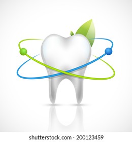 Realistic white healthy tooth isolated on white background vector illustration