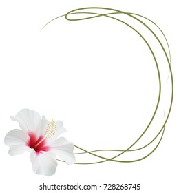 Realistic white hibiscus frame, circle frame.