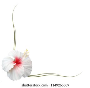 Realistic white hibiscus frame, corner.