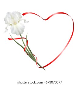 Realistic white iris, romantic frame, the symbol of friendship and fidelity. 