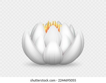 Realistic white lotus flower. Beautiful water lily isolated. 3d element symbol for beauty salon, natural cosmetics, massage, meditation and yoga. Vector illustration