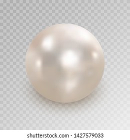 Realistic white pearl with shadow isolated on transparent background. Shiny oyster pearl for luxury accessories. Sphere shiny sea pearl. Beautiful natural white pearl. Shiny 3D jewel with light effect
