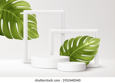 Realistic white Product podium with white picture frames and green tropical monstera leaves isolated on white background. Blank background for product advertising. Vector illustration EPS10