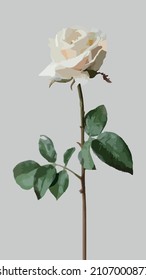 Realistic White Rose Flower Vector