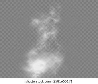 Realistic white smoke or mist effect with soft, swirling patterns on a transparent background. Perfect for overlays and atmospheric designs.