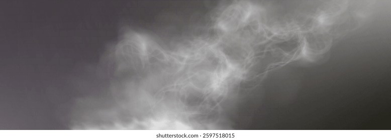 Realistic white smoke on transparent background with soft swirling effect, misty fog, airy vapor, atmospheric haze, drifting smog, subtle steam, floating cloud, delicate fumes.	