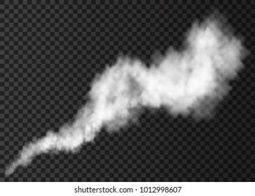Realistic white smoke puff isolated on transparent background. Steam explosion special effect. Vector fire fog or mist texture .