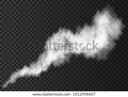 Realistic white smoke puff isolated on transparent background. Steam explosion special effect. Vector fire fog or mist texture .