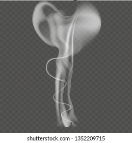Realistic white smoke.Vector