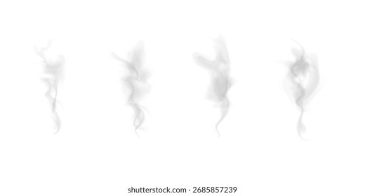 Realistic white steam cloud dust PNG effect.