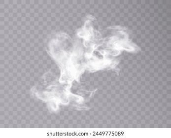 Realistic white transparent smoky vapor. Vector smoke screen on a transparent background.