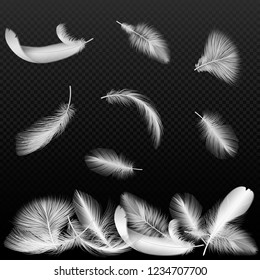 Realistic white vector bird twirled feathers falling on black transparent alpha background.