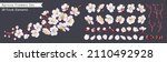 Realistic white vector flowers, petals, buds, twigs and one ready-to-use fruit tree branch. Big set of apricot flowers. From this set you can compose your own branches and flower arrangements.