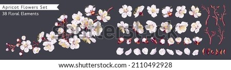  Realistic white vector flowers, petals, buds, twigs and one ready-to-use fruit tree branch. Big set of apricot flowers. From this set you can compose your own branches and flower arrangements.