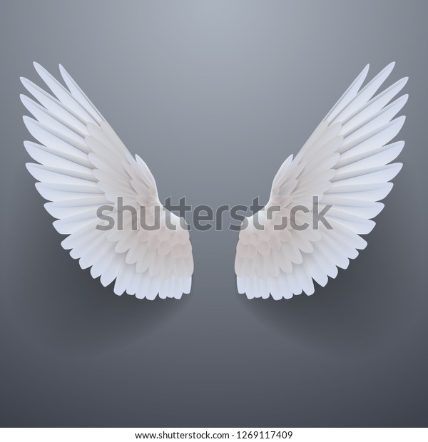 リアルな白い翼 のベクター画像素材 ロイヤリティフリー