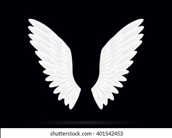 Realistic white wings on a black background