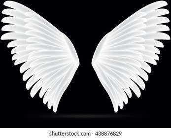 Realistic white wings on a black background