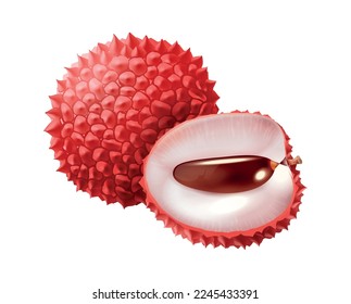 Realistic whole and cut lichi on white background vector illustration