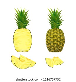 Realistic whole and cut pineapples isolated on white background. Different pineapple pieces, vector illustration. 