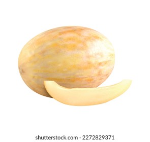 Completa realista y cortada imagen vectorial de melón madura