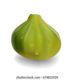 realistic whole green figs with drops of water. vector illustration