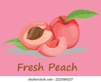 Realistic whole peach, half and slices with leaves in swirl motion. Juicy fruits for natural product vector design. Cut ripe nectarine with stone for healthy organic drink package design.