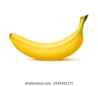 Realistic whole ripe banana fruit, tropical farm food or dessert, isolated vector. Fresh unpeeled whole banana fruit in closeup macro 3d for organic juice or dessert package