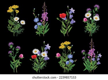 Iconos de flores silvestres realistas colocados sobre fondo negro ilustración vectorial aislada