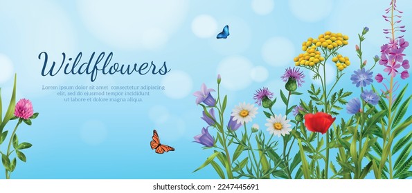 Realistic wildflowers poster with colorful flowers with flying butterfies on blue sky background vector illustration