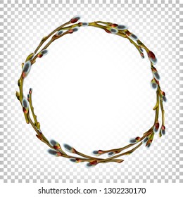 Realistic willow branches with beautiful bud and fluffy catkins.  Vector round frame isolated on white transparent background.