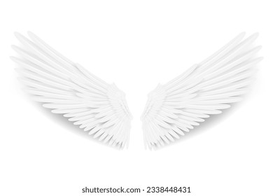 Realistic wings. Angel wings. White isolated pair of falcon wings, 3D bird wings design template.