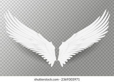 Realistic wings. Angel wings. White isolated pair of falcon wings, 3D bird wings design template.