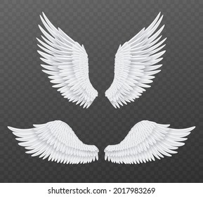 Realistic wings. Beautiful isolated angel wings, pair of 3d birds white feathers, freedom and spiritual symbols flight animals parts. Heaven angelic design element vector set