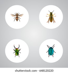 Realistic Wisp, Bee, Insect And Other Vector Elements. Set Of Bug Realistic Symbols Also Includes Blue, Beetle, Dor Objects. svg