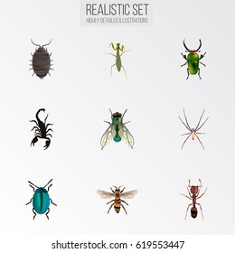 Realistic Wisp, Bug, Emmet And Other Vector Elements. Set Of Bug Realistic Symbols Also Includes Scorpion, Grasshopper, Wisp Objects.