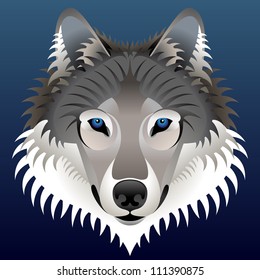 Realistic Wolf's Face. Vector Wolf Head Front View