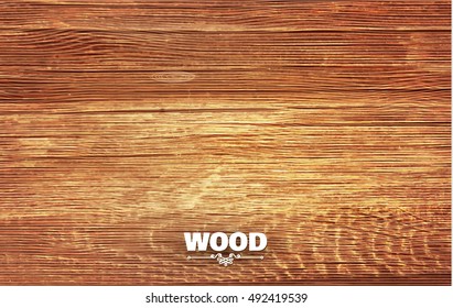 Realistic Wood Texture Background. Vector illustration