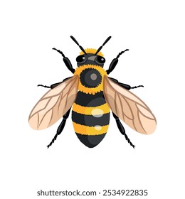 Realistic Worker Bee to the Hive, or Apiary. Isolated Top View Icon on White Background