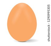 realistic world record egg vector Icon