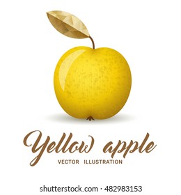Realistic yellow apple, isolated on white - vector illustration. Big yellow apple with bright golden leaf.
