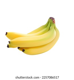 Fruto de plátano amarillo realista en vector