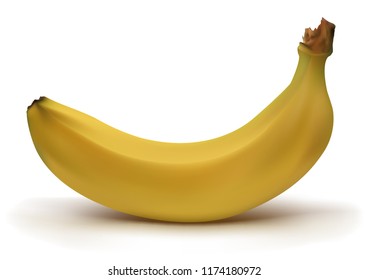Realistic yellow banana with shadow in vector mesh