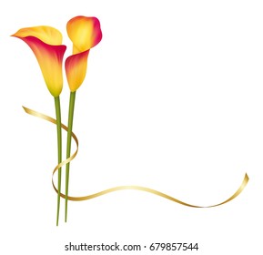 Realistic yellow calla lily corner. The symbol of Beauty and Grace.