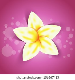 Realistic yellow flower on pink background