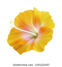 Realistic yellow hibiscus. The symbol of rare elegant beauty.