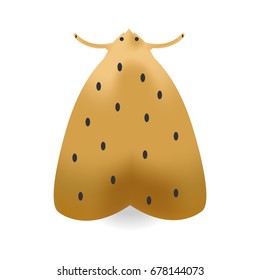Realistic yellow moth isolated
