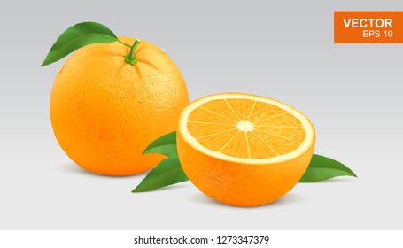 Realistic yellow orange vector illustration, icon. Whole and half slice of orange citrus fruit with green leaf and water drop 