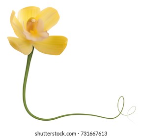 Realistic yellow orchid frame, corner.